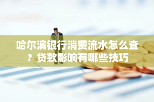 哈尔滨银行消费流水怎么查？贷款影响有哪些技巧